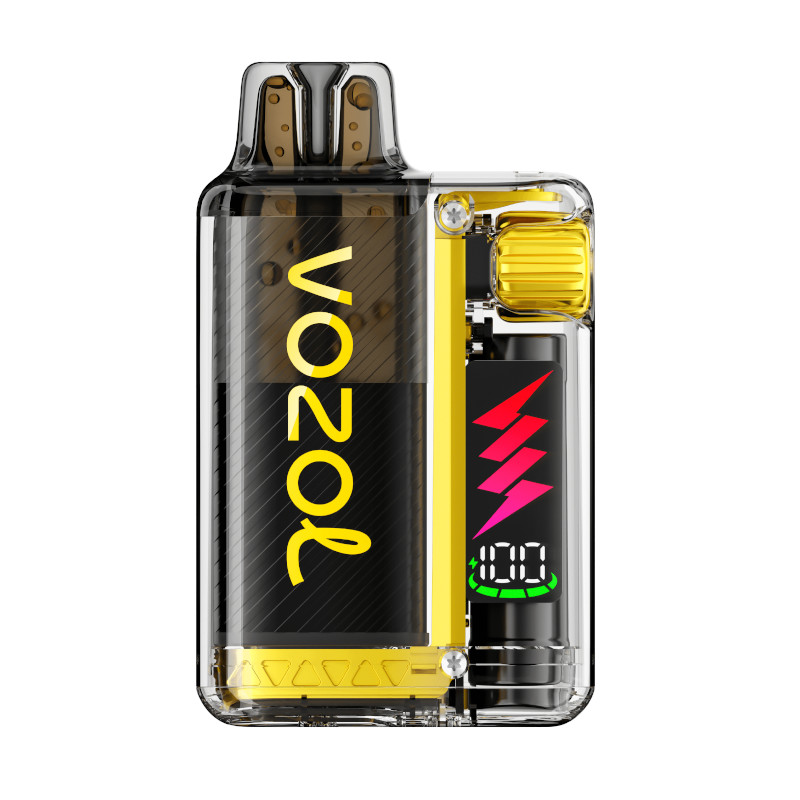 VOZOL Vista Plug 10000 - Starter Kit - Mango Ice